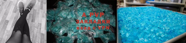 PSILOCYBIN Михайлов