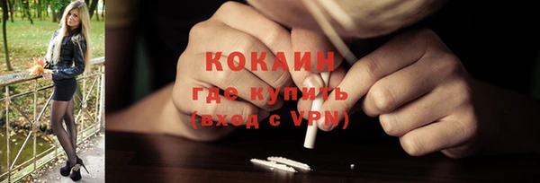 PSILOCYBIN Михайлов