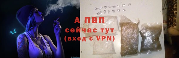 PSILOCYBIN Михайлов
