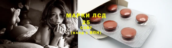 PSILOCYBIN Михайлов