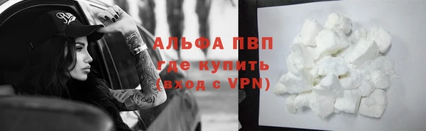 PSILOCYBIN Михайлов