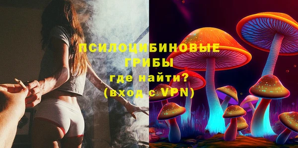 PSILOCYBIN Михайлов