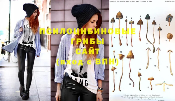 PSILOCYBIN Михайлов