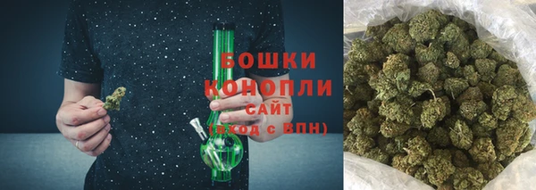 PSILOCYBIN Михайлов