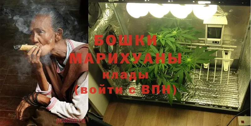 Бошки марихуана THC 21%  где найти   Долинск 